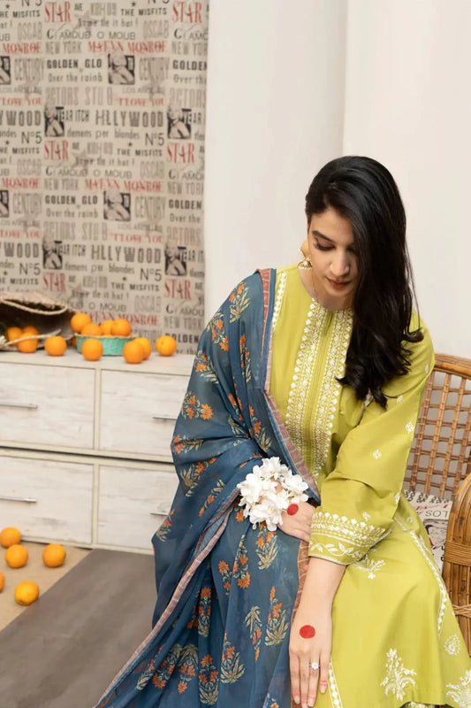 3Pcs Women's Unstitched Embroidered Suit