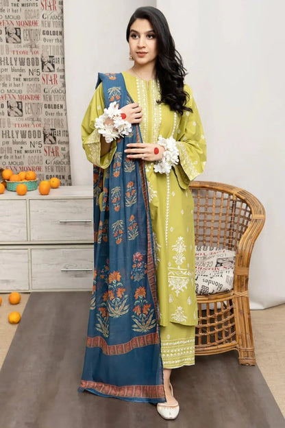 3Pcs Women's Unstitched Embroidered Suit